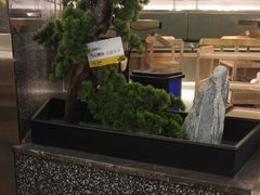 -洪氏嗨捞·猪肚鸡火锅(阳光天地店)