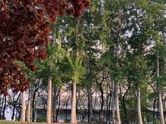 -元大都城垣遗址公园