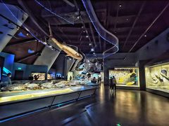 -贝林大翅鲸简餐厅(国家海洋博物馆店)