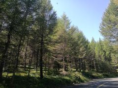 -草原天路(张北县)
