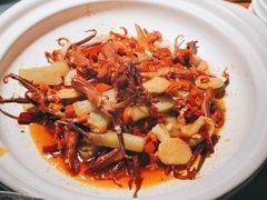 -三强鸽子(中原路店)