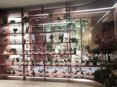 -二酉书店TOYOU BOOKS