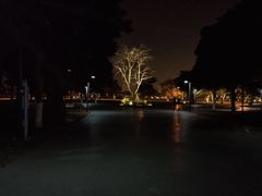-万绿园