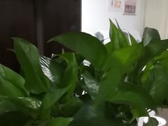 -静沐人生养生馆(佳宁娜分店)