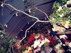 -Seesaw Coffee(深圳万象天地店)