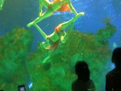 -芜湖新华联大白鲸海洋公园