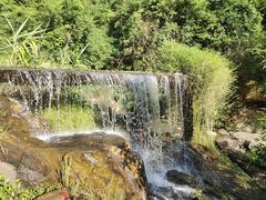 -东莞市大岭山森林公园