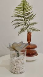 点击看大图 -VE专注问题肌·赛诺龙&科学美肤中心