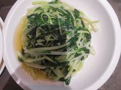 -老伙记海鲜码头(北滘店)
