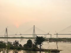 -芒洲湿地公园