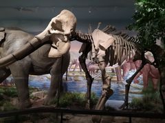 -湖南省地质博物馆