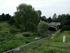 -秦岭欢乐世界