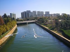 -五甲塘生态湿地公园