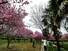-白塘生态植物园