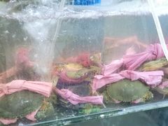 -美味海鲜大排档(明发美食地标店)