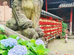-峨眉山报国寺