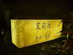 -台山颐和温泉城