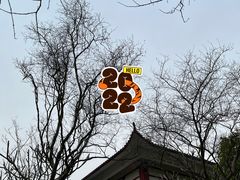 -江门古兜温泉小镇