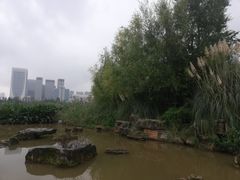 -洛龙公园