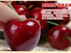 -大自然农场蔬菜草莓采摘园