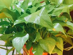 -箪食巷私房菜馆·鲁菜(玉函路店)