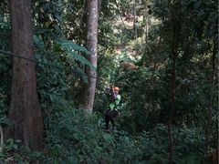 -清迈丛林飞跃 JungleFlight