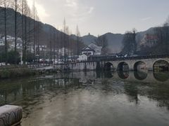 -九华山聚龙大酒店