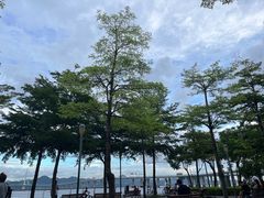 -深圳湾公园(南山区)
