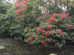 -桂林灵渠景区