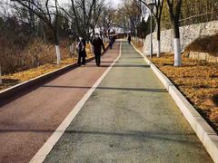 -滨河世纪广场公园