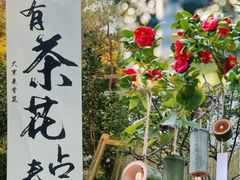 -深圳国际园林花卉博览园