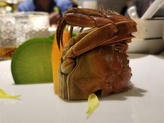 -甄御•海鲜新青岛菜(麦岛店)