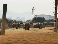 -杭州野生动物世界