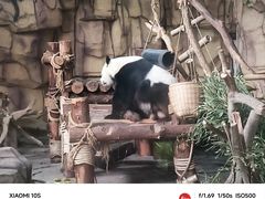 -泉州海丝野生动物世界