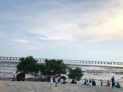 -宝安西湾红树林湿地公园