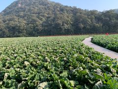 -广州市石门国家森林公园