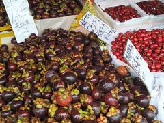 -红星农博物流中心