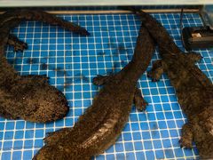 -潇湘·永州会馆(百子湾店)