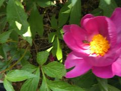 -济南国际园博园