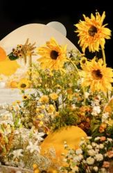 -天邑国际酒店·宴会厅