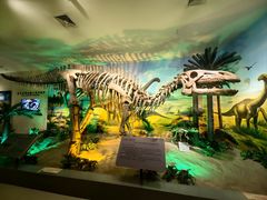 -甘肃地质博物馆