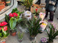 -宝鸡东道花鸟鱼虫市场(吉利花园商场店)