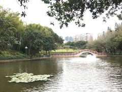 -深圳龙潭公园