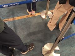 -青岛胶东国际机场