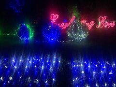 -洛阳郁金香牡丹园