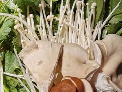 菌菇拼盘-九鼎轩脆毛肚火锅(徐州苏宁店)