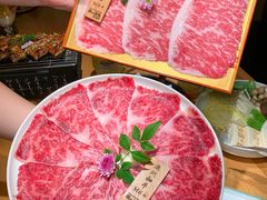 -龙酒场·关西寿喜烧·居酒屋(罗湖店)