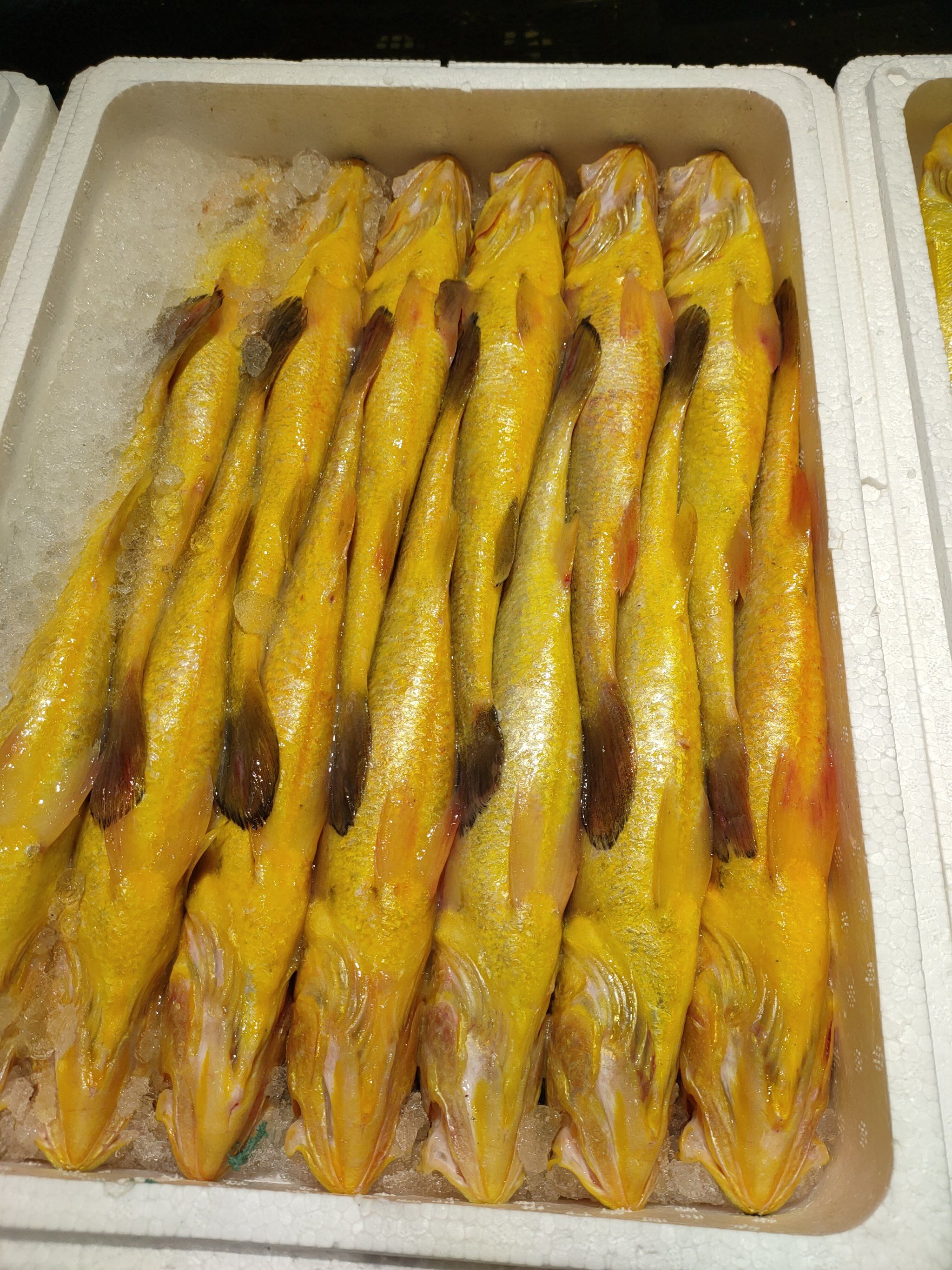 三个渔夫招牌菜大黄鱼