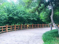 -济南森林公园