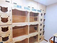 -康旭宠物医院(郑州总院)